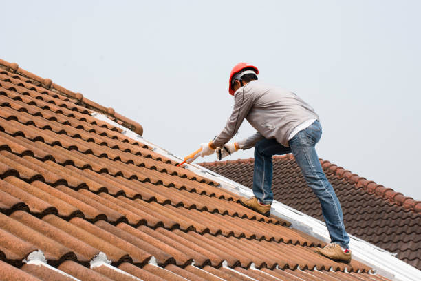 Best Roof Leak Repair  in Five Points, NC